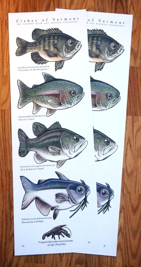 2015_20fishes_20of_20vermont_20pair_original